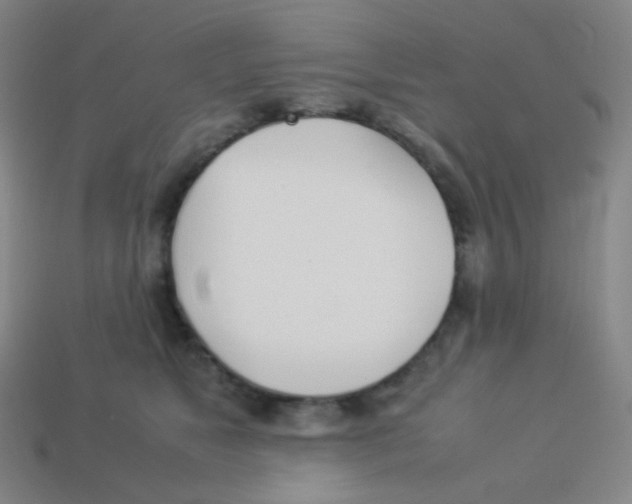 X0000113890517200910221419
