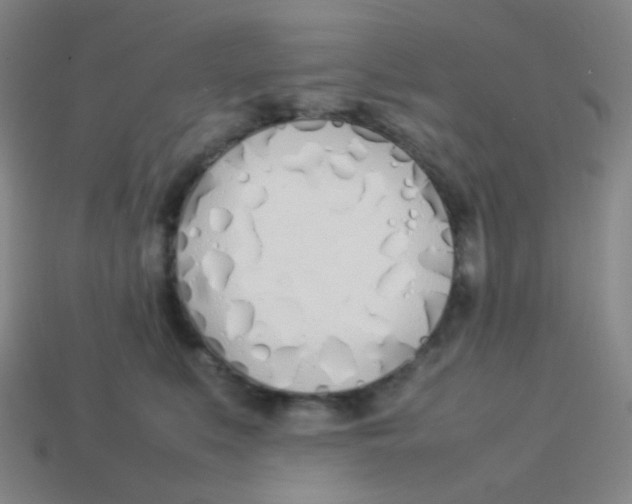 X0000113890519200910221419