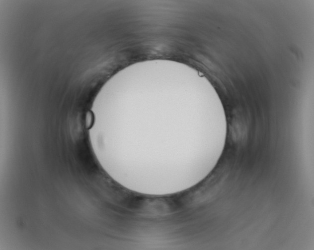 X0000113890520200910221419