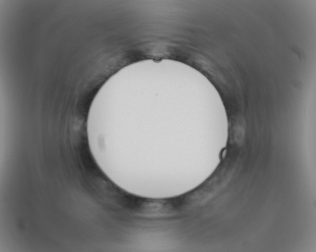 X0000113890521200910221419