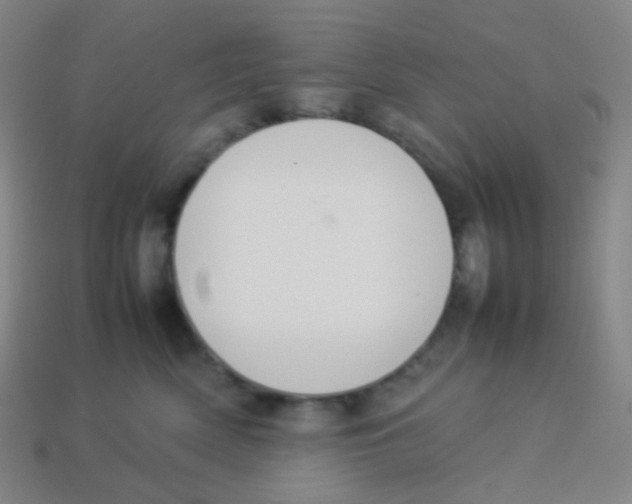 X0000113890522200910221419