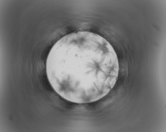 X0000113890523200910221419