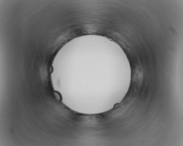 X0000113890524200910221419
