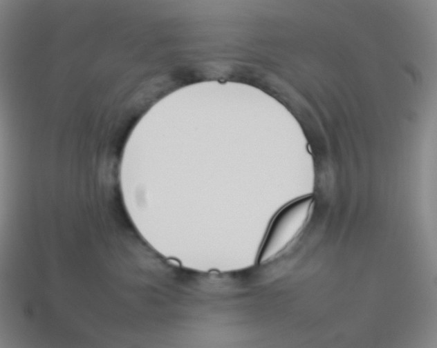X0000113890525200910221419