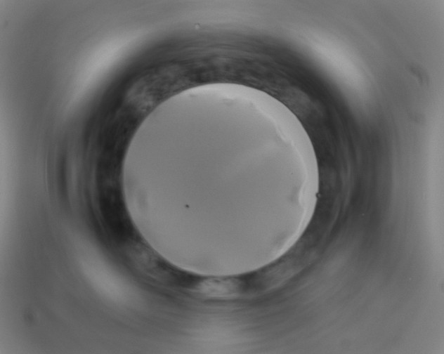 X0000113890526200910221419