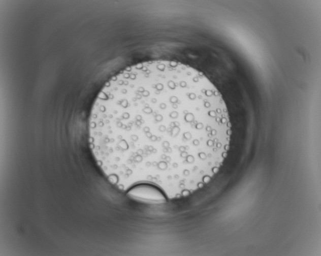 X0000113890527200910221419