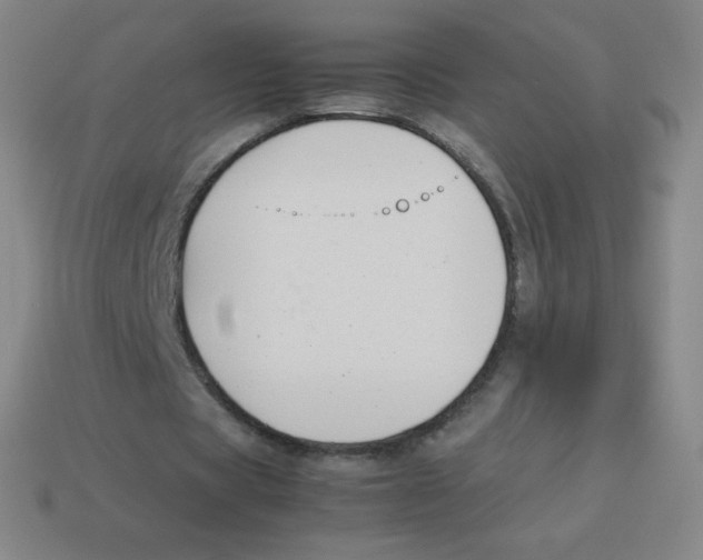 X0000113890529200910221419