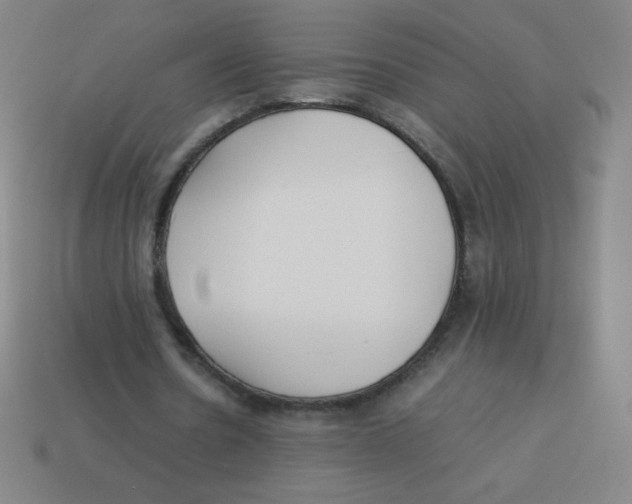 X0000113890530200910221419