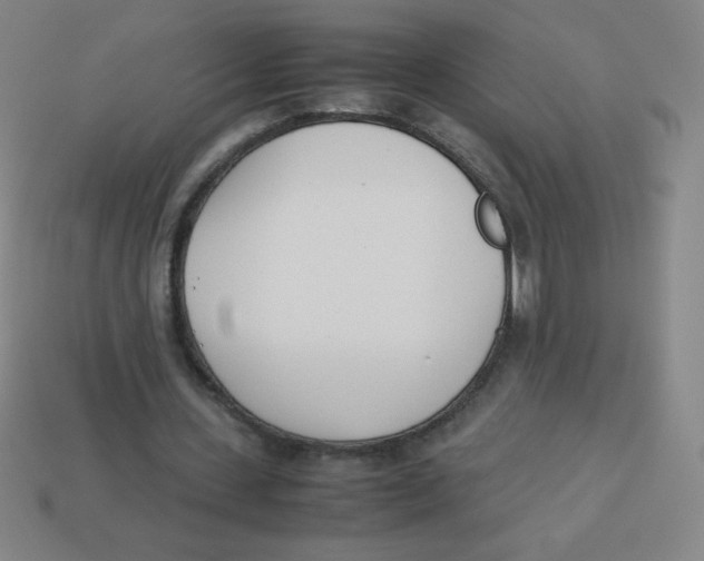 X0000113890531200910221419