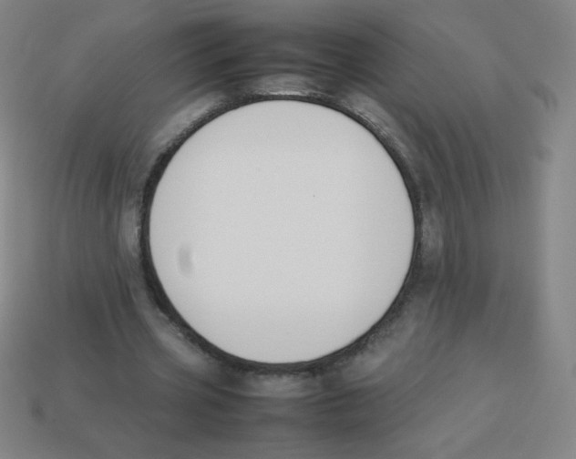 X0000113890533200910221419