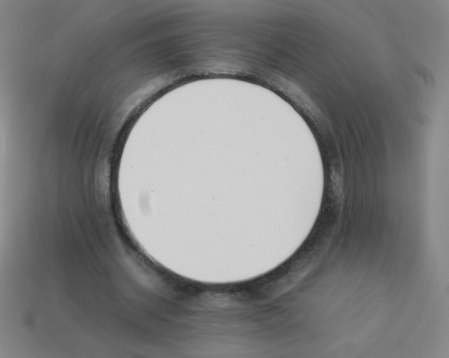 X0000113890534200910221419