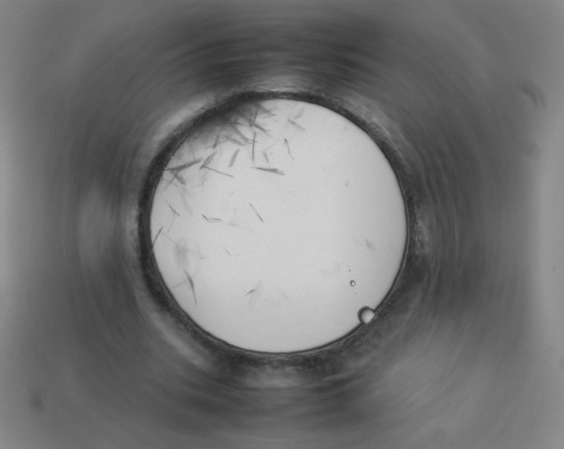 X0000113890535200910221419