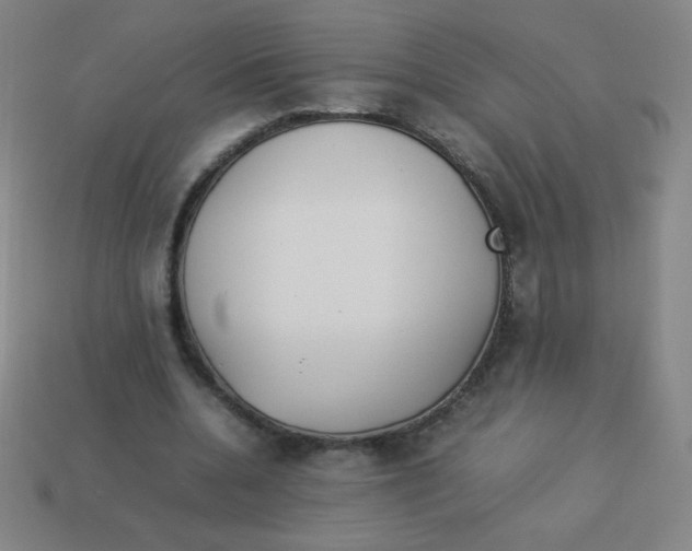 X0000113890536200910221419