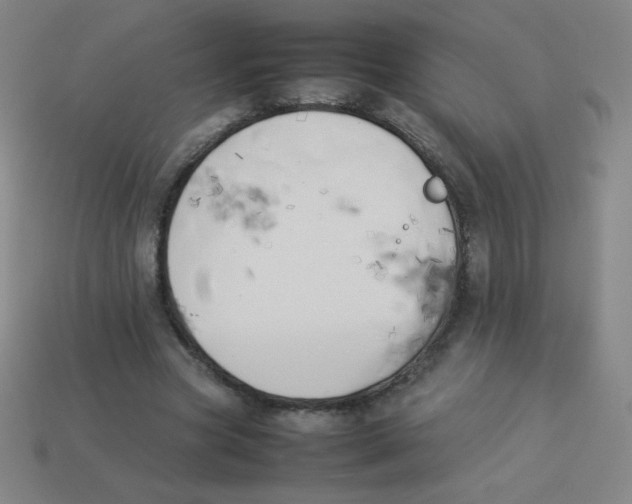 X0000113890537200910221419