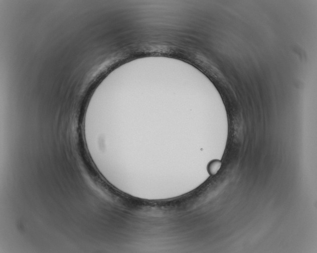 X0000113890538200910221419