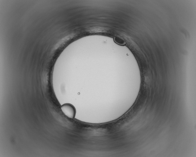 X0000113890539200910221419
