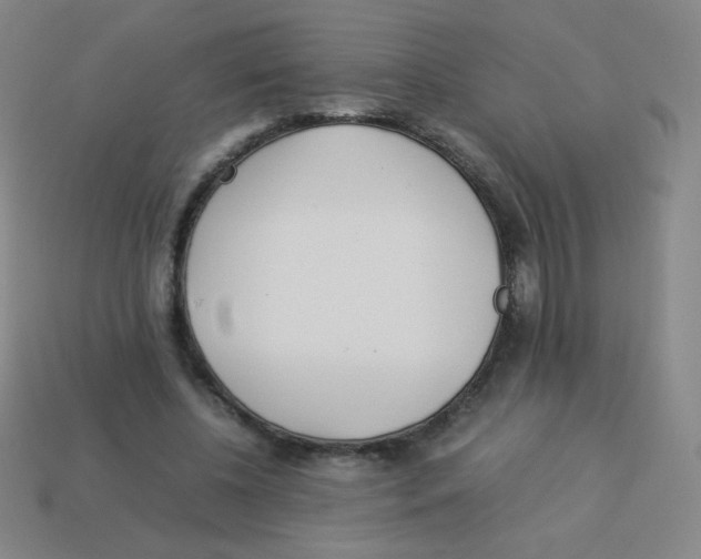 X0000113890540200910221419