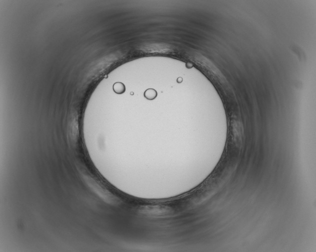 X0000113890541200910221419