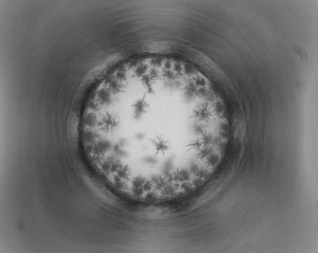 X0000113890542200910221419