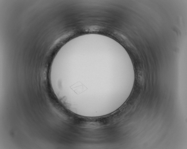 X0000113890543200910221419