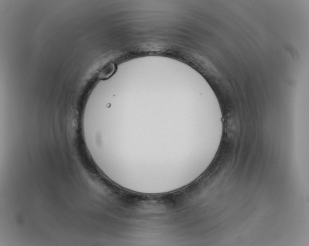 X0000113890544200910221419