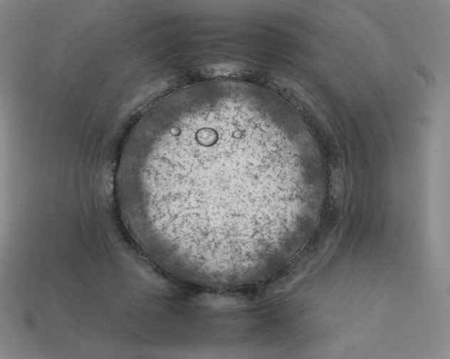 X0000113890545200910221419