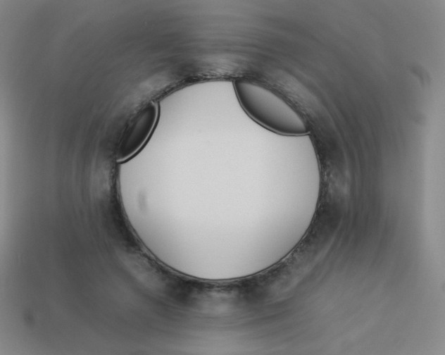 X0000113890546200910221419