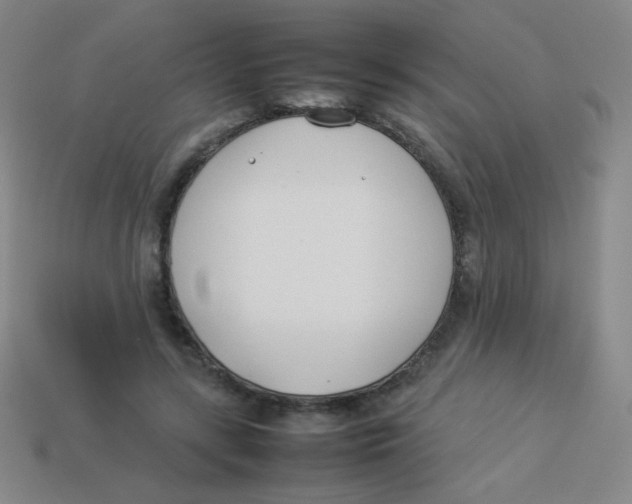 X0000113890547200910221419