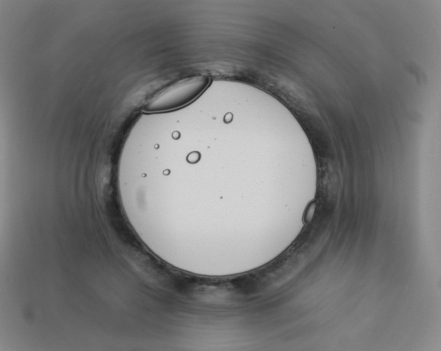 X0000113890548200910221419