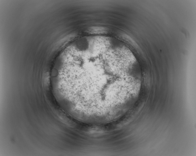 X0000113890549200910221419