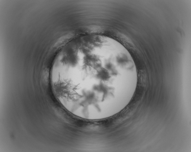 X0000113890550200910221419