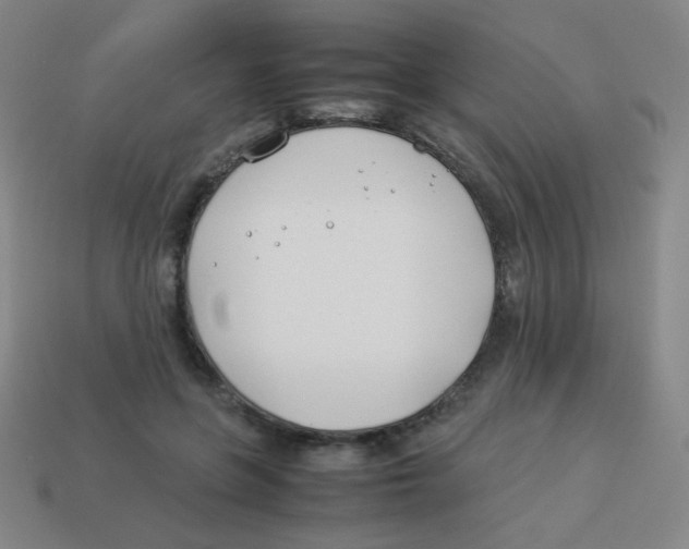 X0000113890551200910221419