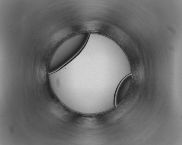 X0000113890552200910221419