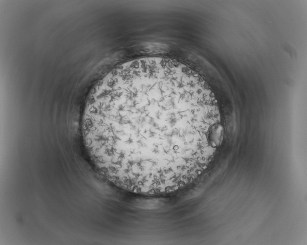 X0000113890553200910221419