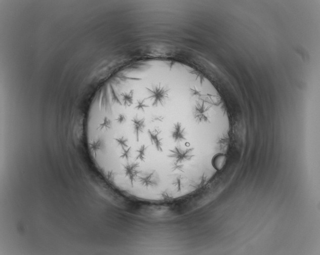 X0000113890554200910221419