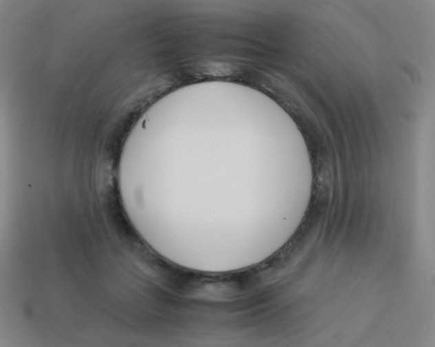 X0000113890555200910221419