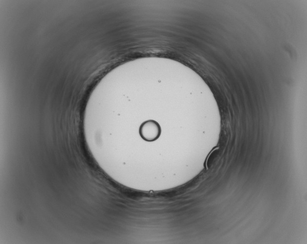 X0000113890556200910221419
