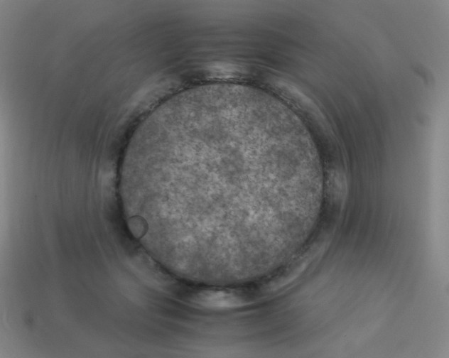 X0000113890557200910221419