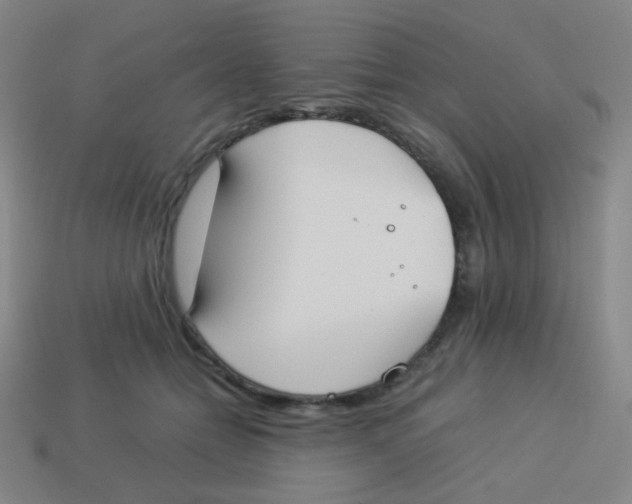 X0000113890558200910221419