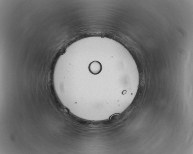 X0000113890560200910221419