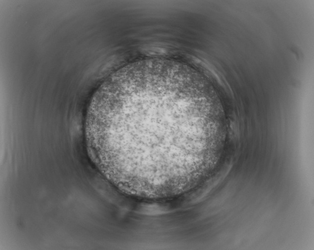 X0000113890561200910221419