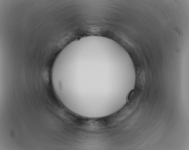 X0000113890562200910221419