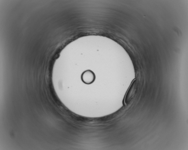 X0000113890564200910221419