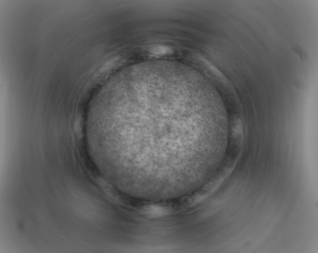 X0000113890565200910221419