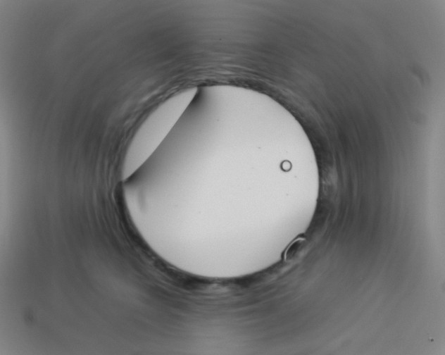 X0000113890566200910221419