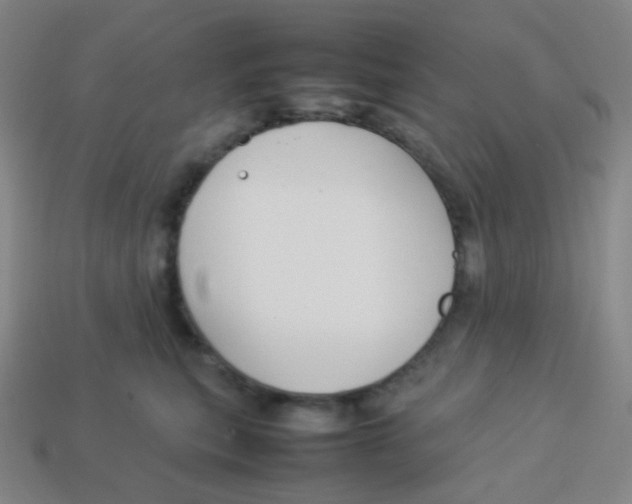 X0000113890567200910221419