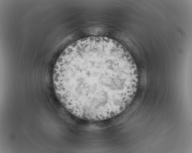 X0000113890569200910221419