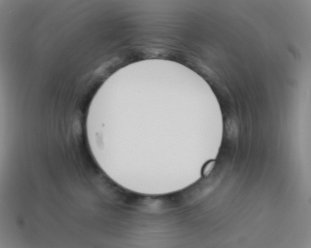X0000113890570200910221419