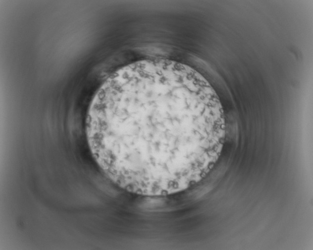 X0000113890573200910221419