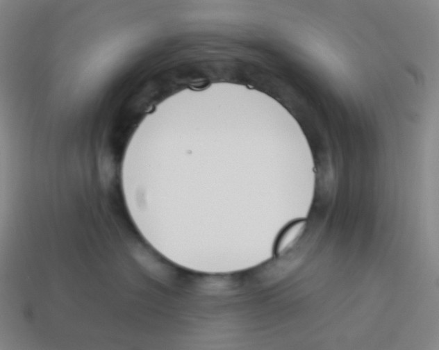 X0000113890574200910221419